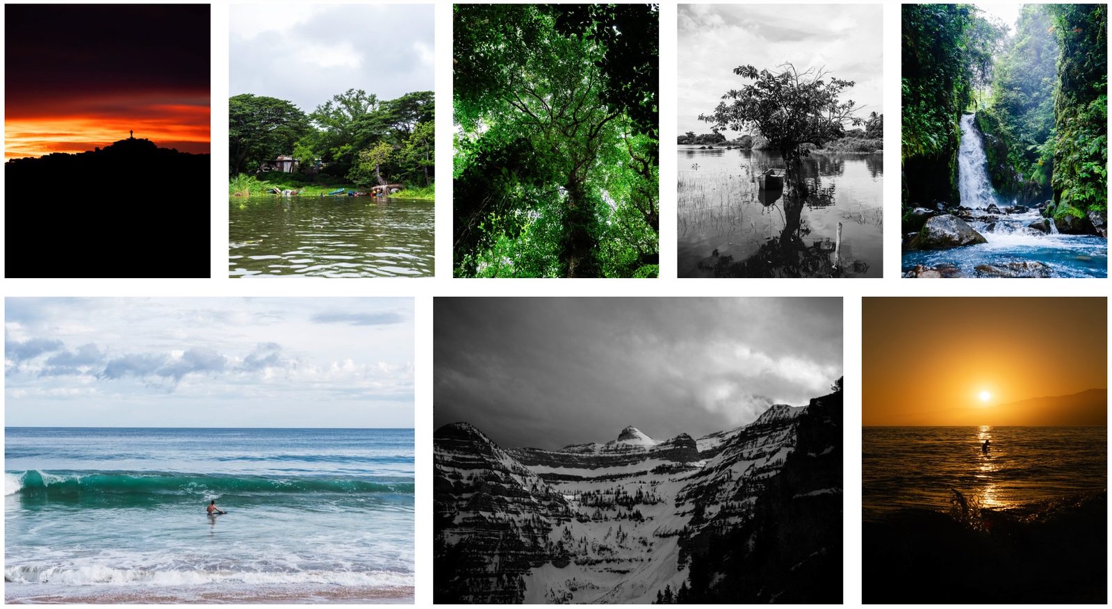 Landscape 4
